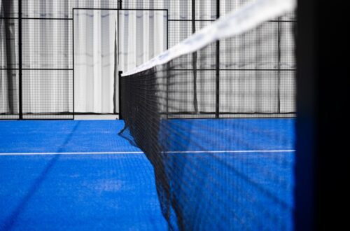 Padel bat